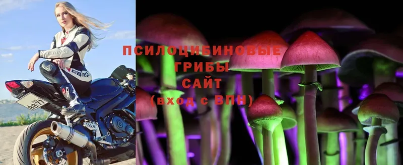 Галлюциногенные грибы MAGIC MUSHROOMS  даркнет сайт  Глазов 